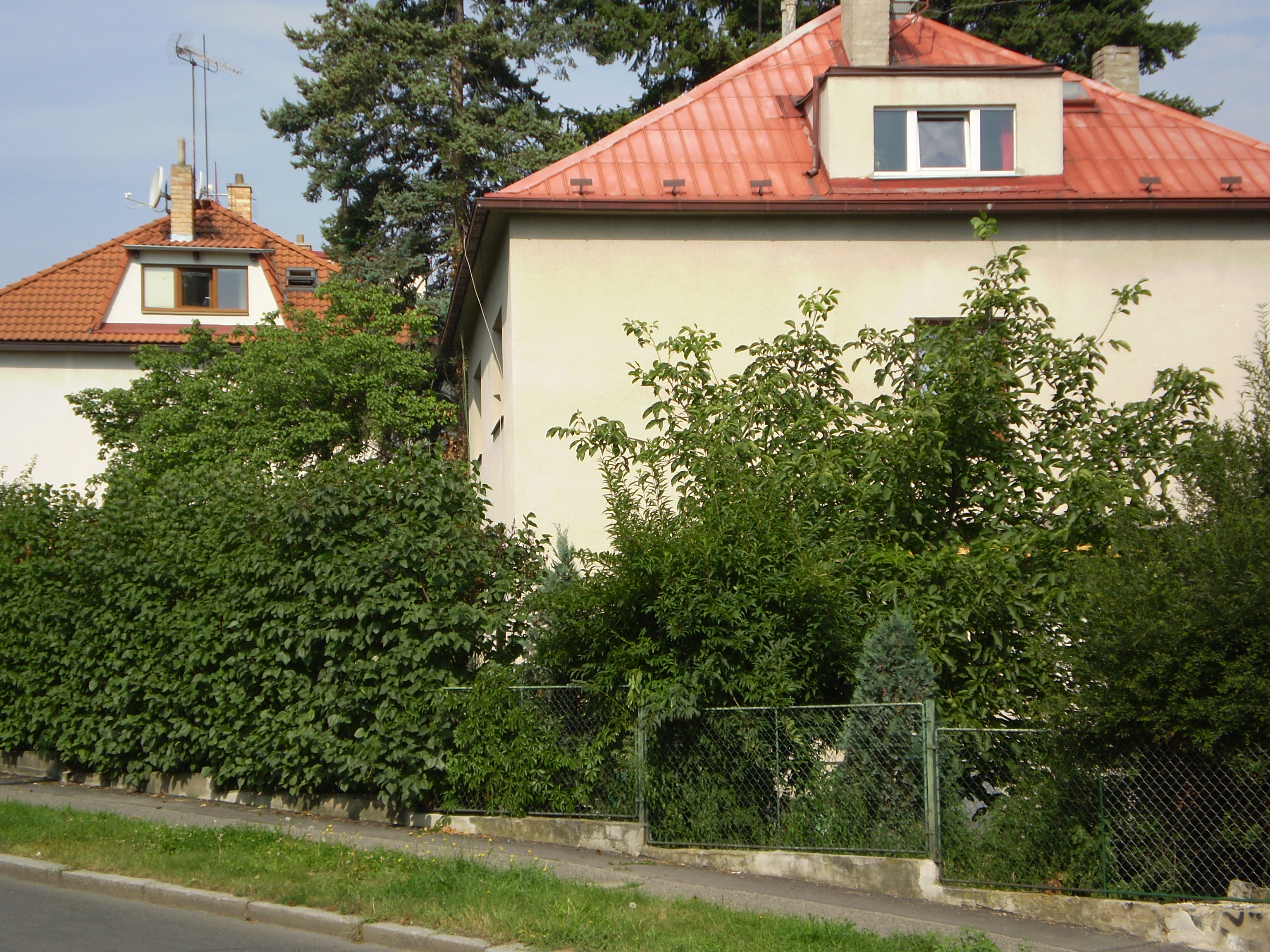 P7300694.JPG